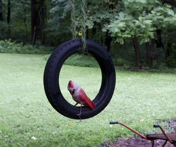 Mini Tire Swing