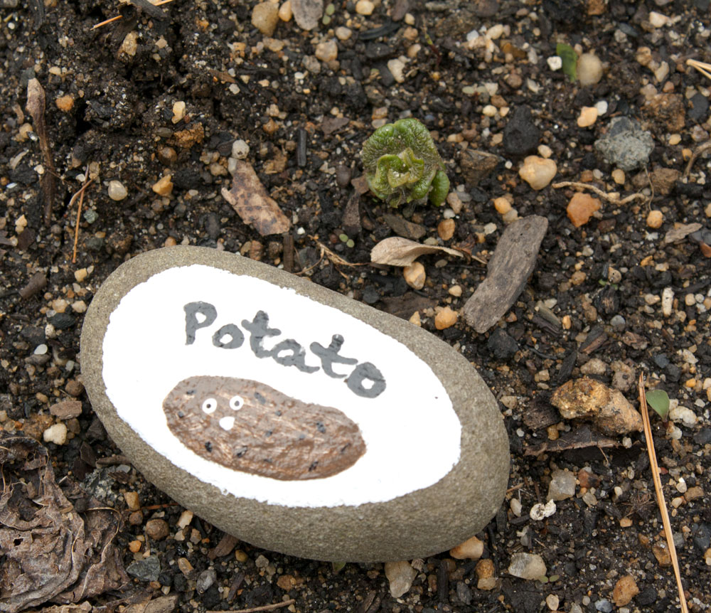 Vegetable Garden Markers "Potato" - orangedogcrafts.com